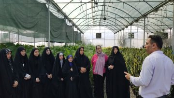 یک روز متفاوت برای دانش‌آموزان؛ تجربه کشاورزی از نزدیک در همیشک